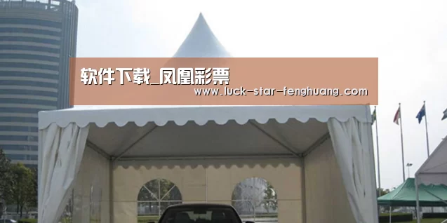 案例标题八
