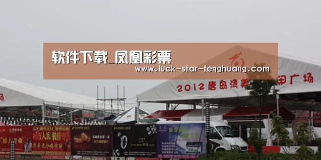 案例标题十